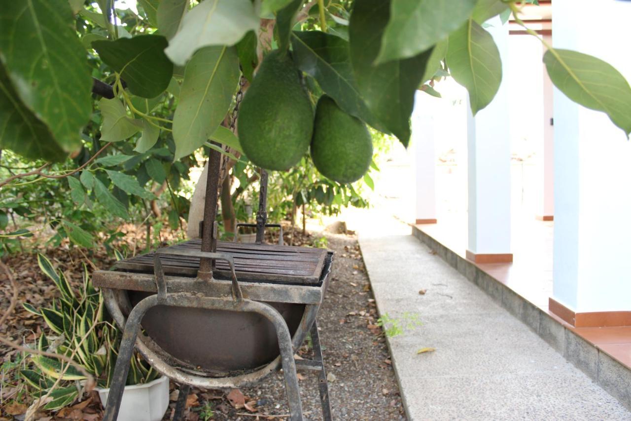Casita Lily Villa Las Palmas de Gran Canaria Exteriör bild